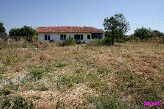 topolovgrad-properties010 Srem Topolovgrad renovated bungalow properties for sale Bulgaria
