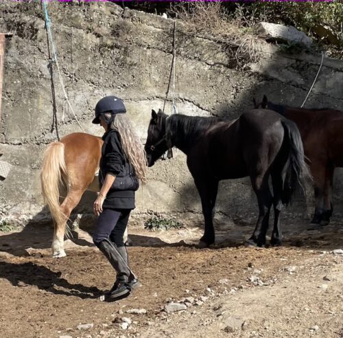 horse riding base in Smolyan Bulgaria