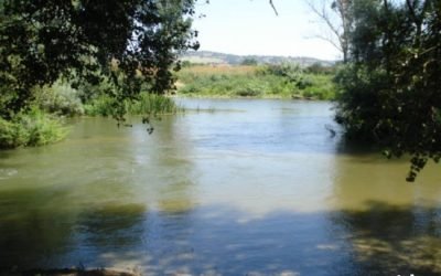 Old Mill land for sale