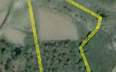 Mini Oak Forest for Sale nr Greek border/Development